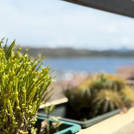 Apartment Pgs Immobiliare Srls Bellavista Maria Attico Con Vista Mare E Parcheggio Privato La Maddalena *